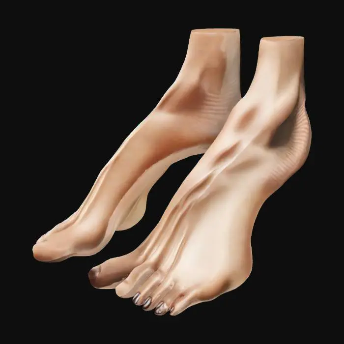 3D model for Barefoot Elegance