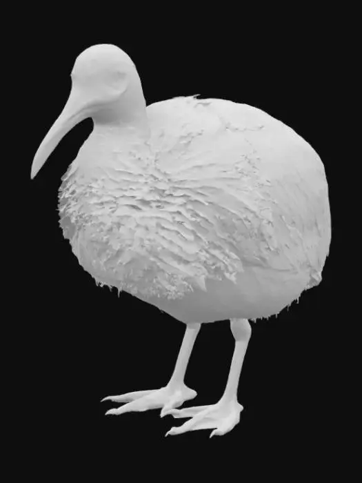 3D model for Bird Kiwi a.k.a "Apteryx"