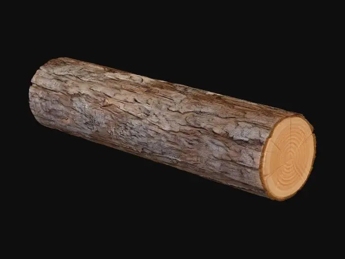 3D model for Rough Bark Log