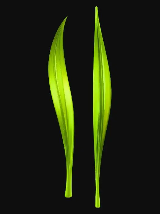 3D model for Grass