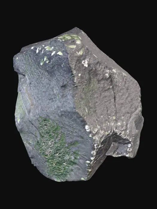 3D model for Lichen Rock