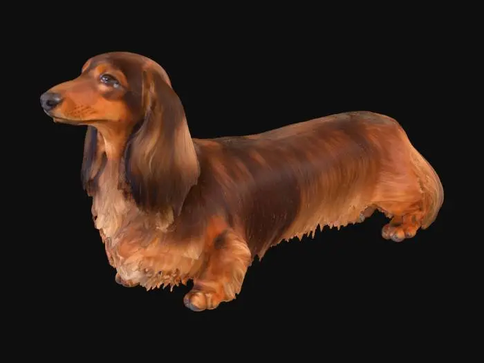 3D model for Majestic Dachshund