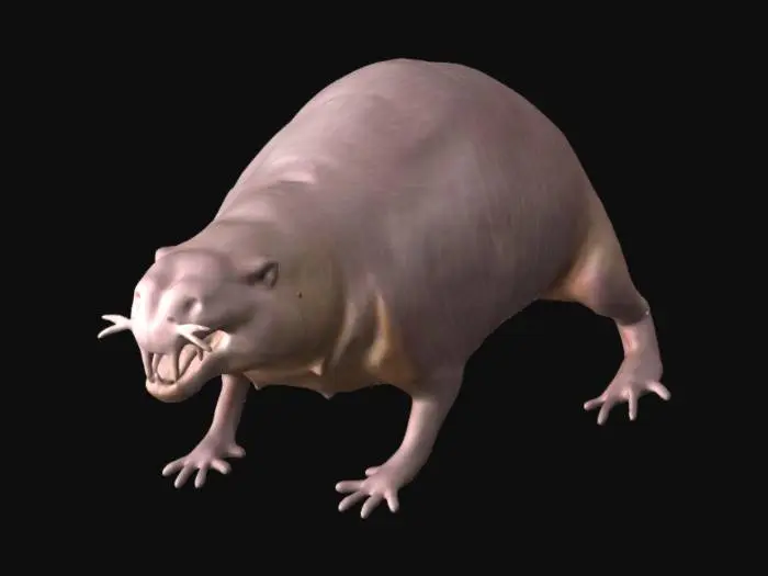 3D model for Curious Rodent