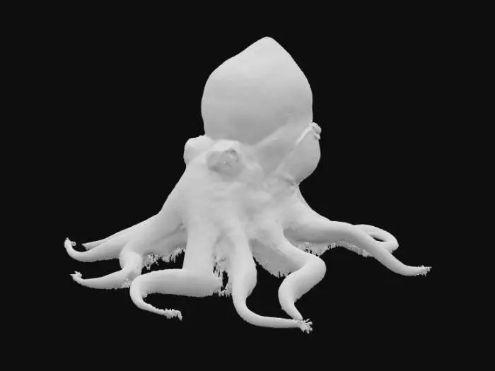 3D model for Mystic Kraken