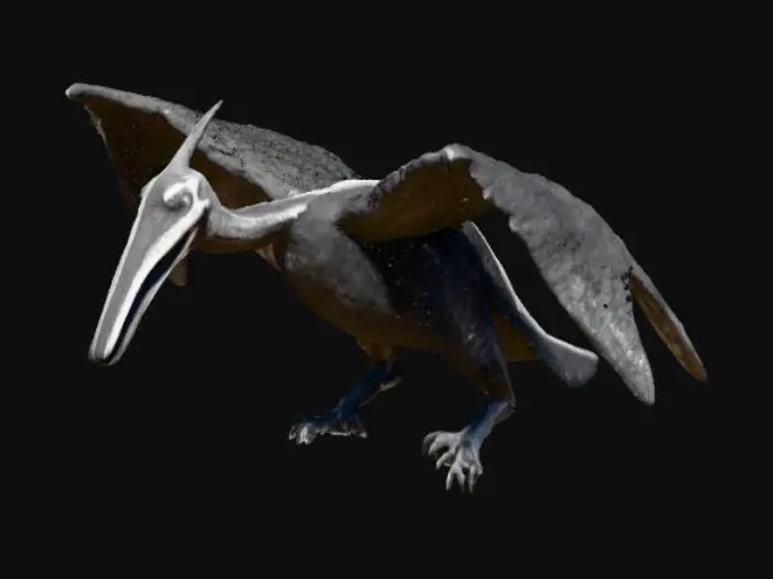 3D model for Pterodactyl Sketch