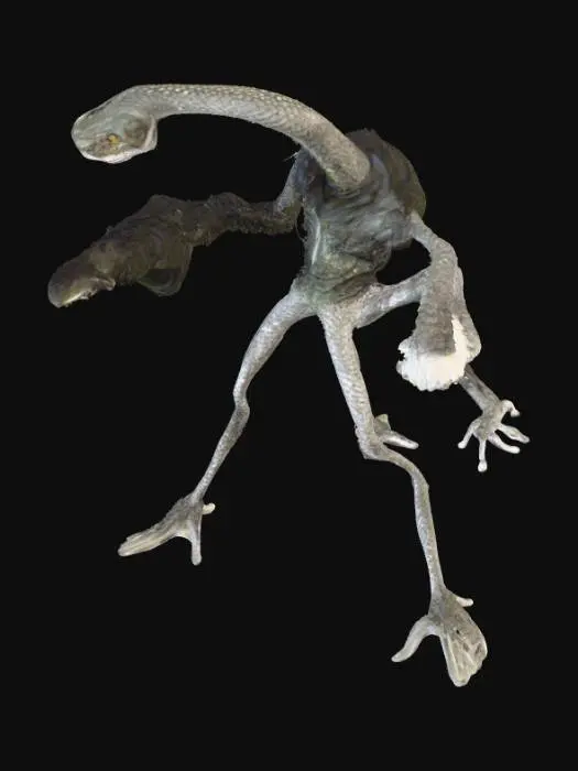 3D model for The Serpentine Guardian