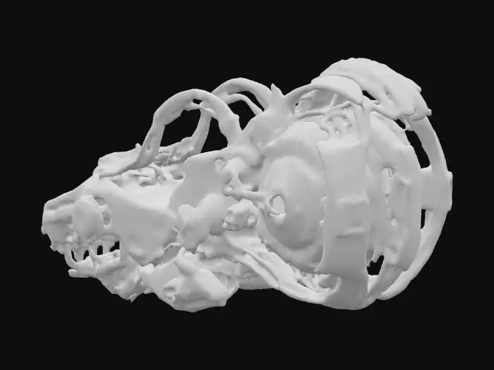 3D model for Nebula Racer