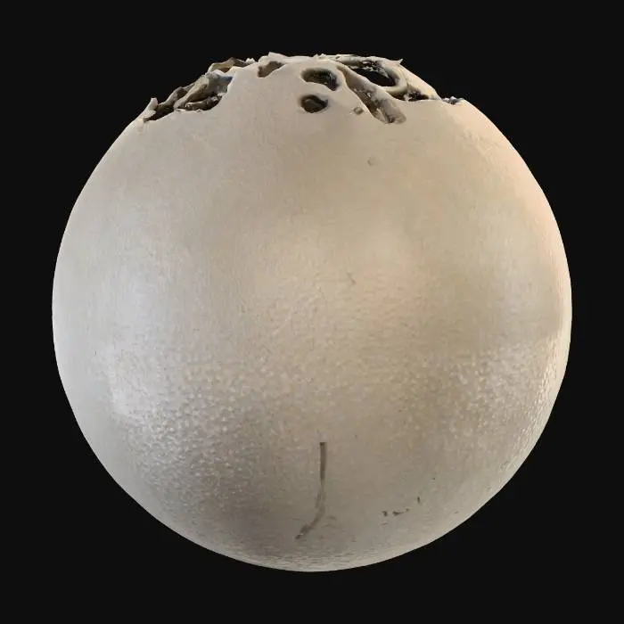 3D model for Eroded Sphere