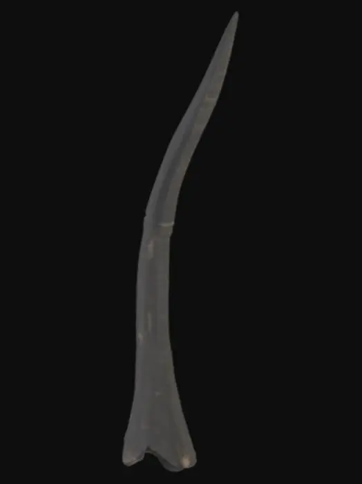 3D model for A standalone sculpt of a single devil horn designed for forehead mounting on a humanoid model or for use as a printable cosplay accessory. The horn should be sharply curved, tapering to a point, with a natural backward arc and slightly twisted structure. It must have a flared base with a slight ridge or notch for clean attachment to skin, prosthetic, or 3D model surface. No head, scalp, or additional anatomy — only the single horn. Geometry should be symmetrical if duplicated as a pair. Suitable for games, digital kits, or cosplay 3D printing.

