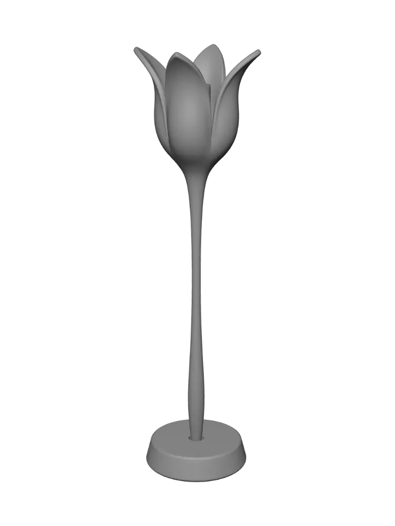 tulip