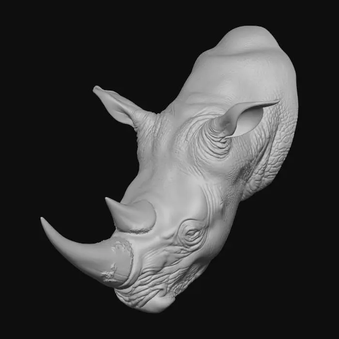 3D model for Monochrome Rhino Portrait