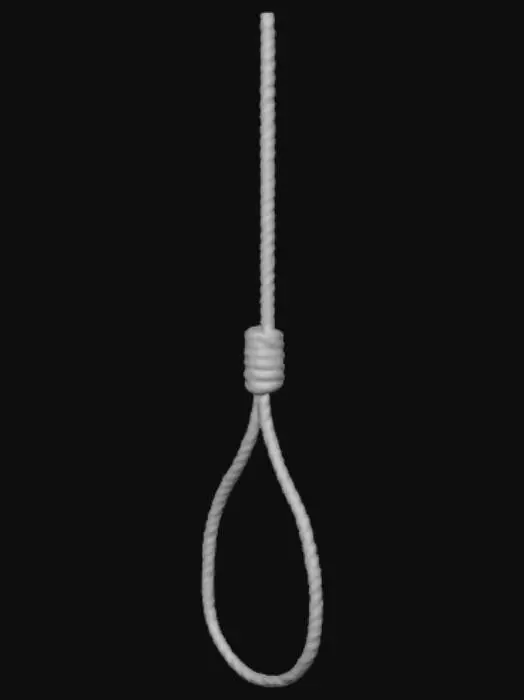 3D model for Despair's Loop