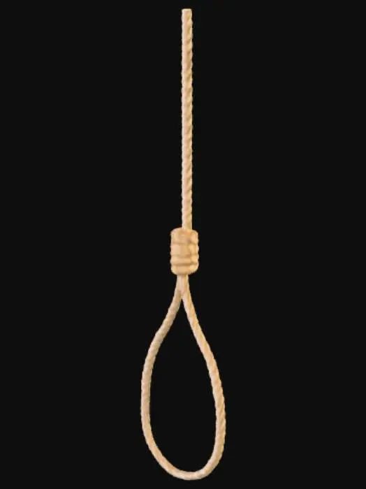 3D model for Despair's Loop