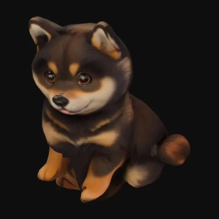 3D model for Shiba Mai