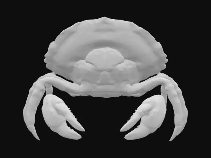 3D model for A single hermit crab in a symmetric pose with 8 legs spread evenly, claws open slightly, shell balanced symmetrically on back, isolated, clean mesh.”