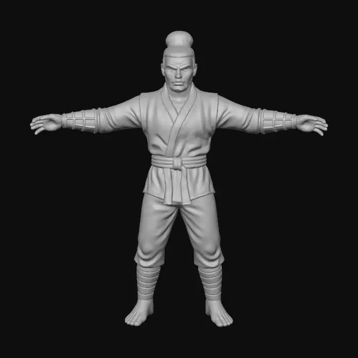 3D model for Martial Artist Poise