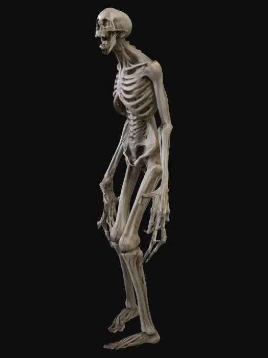 3D model for Wraithwalker