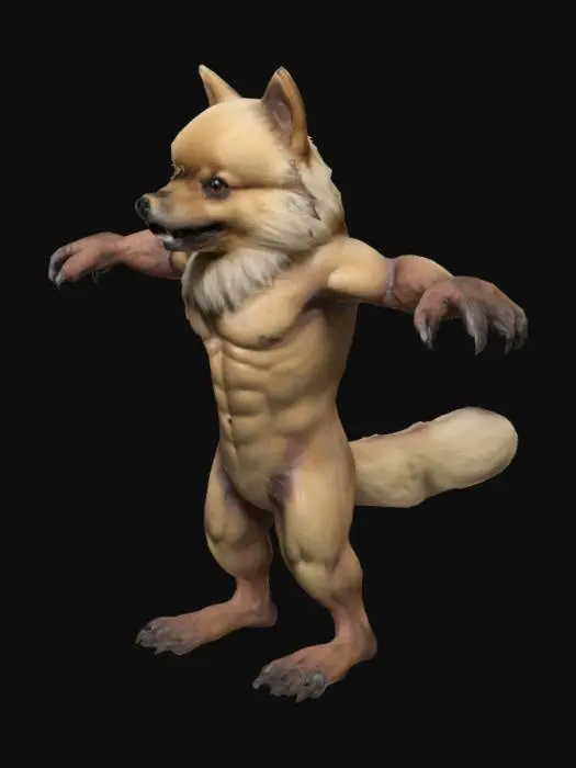 3D model for A highly detailed anthropomorphic Pomeranian dog standing upright in a T-pose, with realistic werewolf-like anatomy — strong muscular limbs, human-like hands and feet with claws. The fur is natural-looking and soft, with a blend of blonde tones: slightly darker along the back and lighter on the chest and underbelly. No armor, no clothing, no accessories — just the full fur-covered body. The face should resemble a real Pomeranian or Keeshond with alert, noble expression. Rendered in cinematic, realistic concept art style, neutral background, ideal for 3D modeling reference.