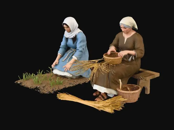 3D model for Planting and Weaving