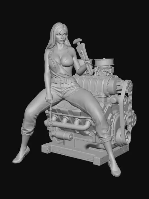 3D model for Mechanic's Resolve