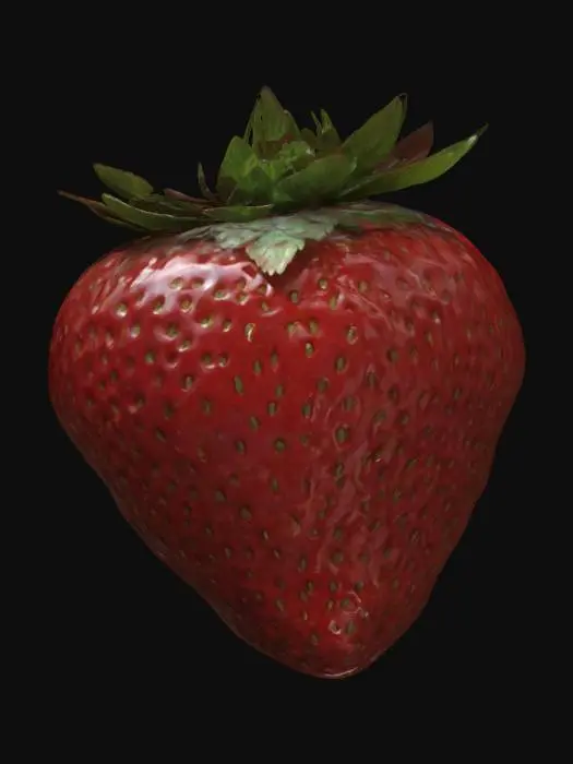 3D model for "Generate a lifelike strawberry model with a plump, slightly elongated shape, crowned by small green leaves. Half or more of the berry is dipped in smooth chocolate, leaving a clean diagonal line between the red fruit and the chocolate coating. Include a small decorative drizzle or swirl on the chocolate side for a gourmet touch."

