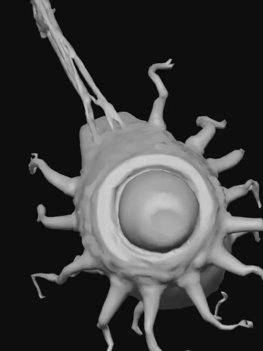 3D model for Cadılar bayramı için Mikroskopik mutant bakteri/ mikro-organizma, büyütülmüş (mikroskop) ölçeğinde olduğu net anlaşılsın. Dış zar koyu parlak mor (#8A2BE2), yarı saydam, içi görünüyor. İçte hafifçe dönen zehirli yeşil sıvı çekirdeği (#A8EB12), hafif parlaklık ve küçük hareketli parçacıklar. Zar içinde tek küçük parlayan 'zehir gözü' motifi (insan yüzü değil, küçük vurgu). Ekvator çevresine tam **8 kısa kamçı** eşit aralıkla, ince ve hafif yarı saydam şekilde bağlı. Küçük çatlaklardan sis/boğucu gaz çıkışı efekti. Stil: korku-bilim, detaylı doku, 3D model için temiz organik mesh. Kamera: makro yakın plan, sığ alan derinliği. NEGATİF: saksı, bardak, kokteyl, tabak, insan yüzü, mobilya yok.