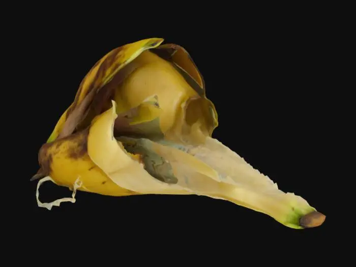3D model for Banana peel