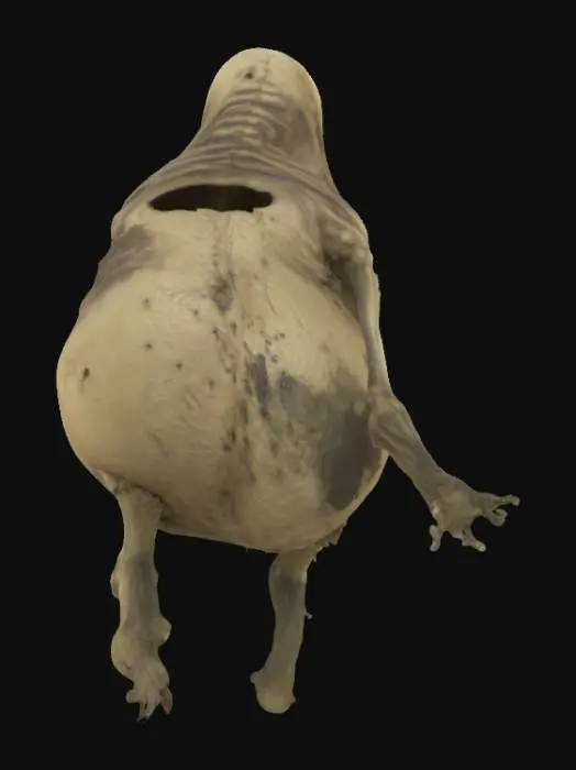 3D model for Swamp Apparition.