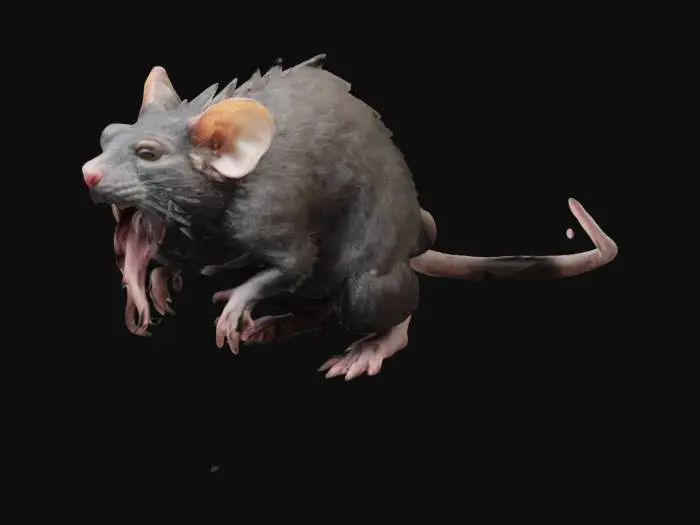 3D model for giant rat with tentacle face