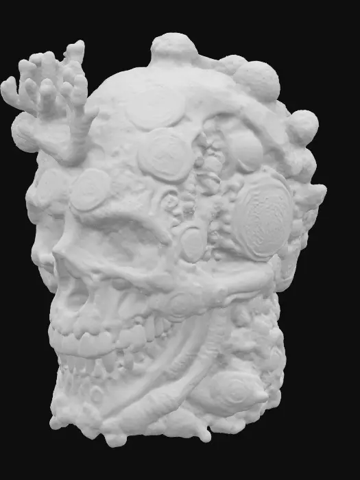 3D model for Coral Skull Artifact