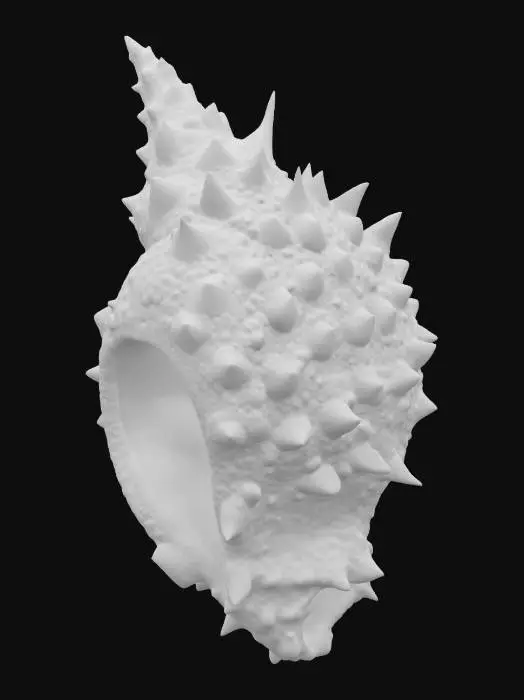 3D model for A PSYCAHDELIC CONCH SHELL , BIOMECHANICAL  AND TWISTED 4 COLOR