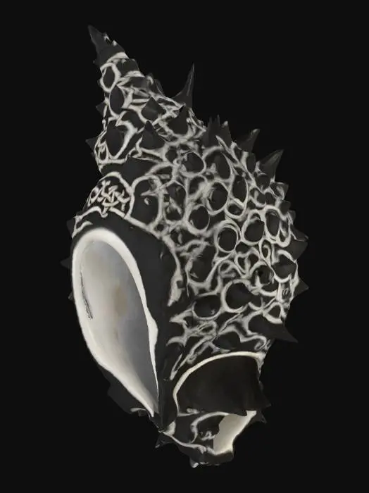 3D model for A PSYCAHDELIC CONCH SHELL , BIOMECHANICAL  AND TWISTED 4 COLOR