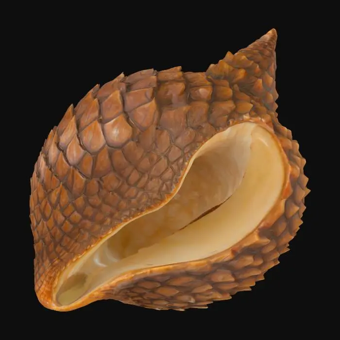 3D model for Spiral Elegance, #emblem#