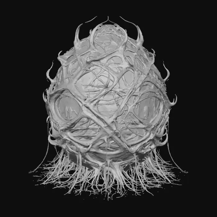 3D model for Enchanted Cocoon