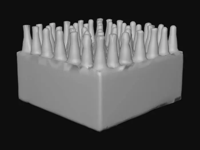 3D model for case of beer that holds 24 bottles, brand name crunk