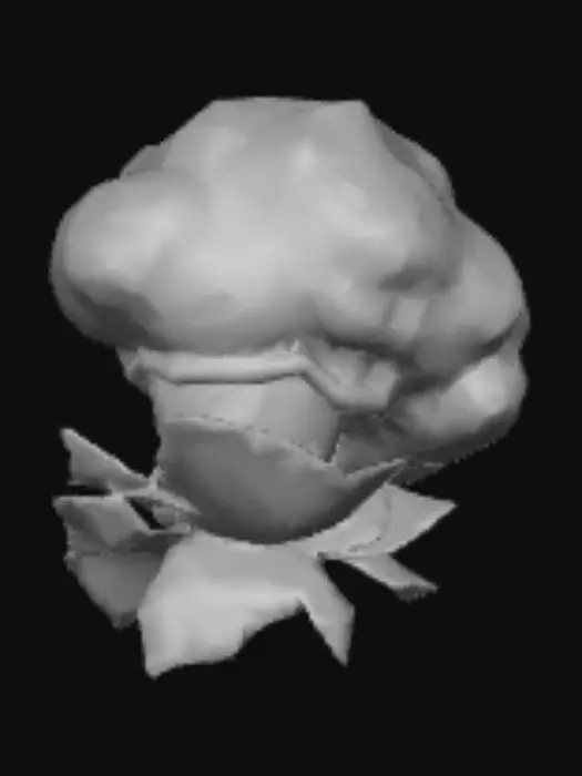 3D model for Гипнокапуста