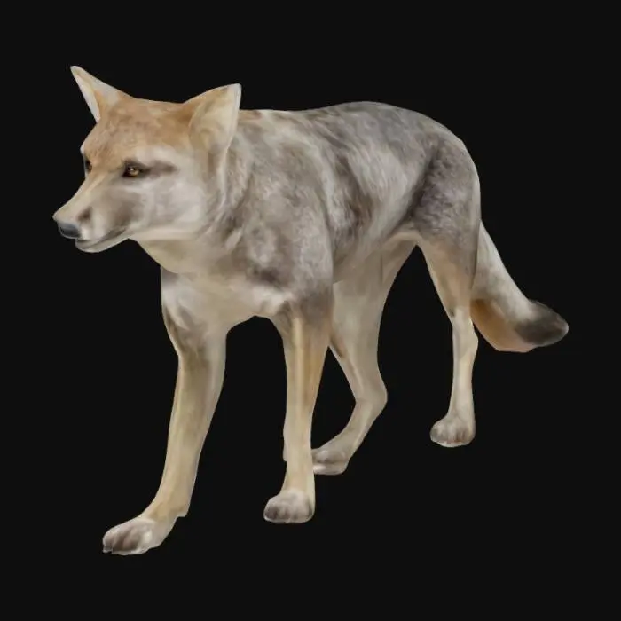 3D model for памская лиса