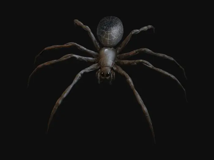 3D model for Create ultra-realistic, Fantasy,  4k 3D model of spider web, Highly Detailed, Ultra Realistic, Fantasy