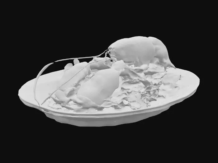 3D model for Lobster Delight