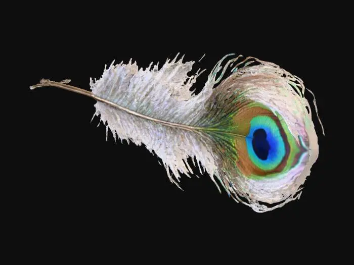 3D model for Ethereal Feather