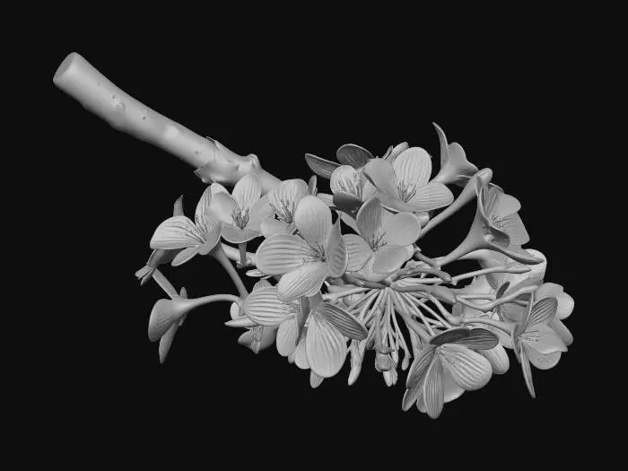 3D model for A single of cluster cherry blossoms, detailed Japanese Sakura, rough dark brown bark texture, delicate soft pink petals, blooming flowers with small green buds, organic curvature, photorealistic, 4k textures, ambient occlusion, high fidelity game asset