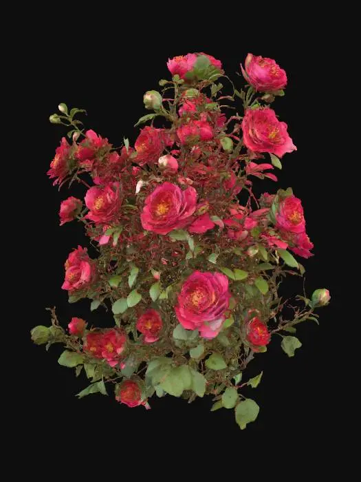 3D model for a shrub of "wild rose" the flowers are in full bloom. the petals are bright red like blood. the shrub consists of twigs with thorns and leaves