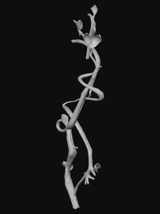 3D model for Twisted Vine Sculpture