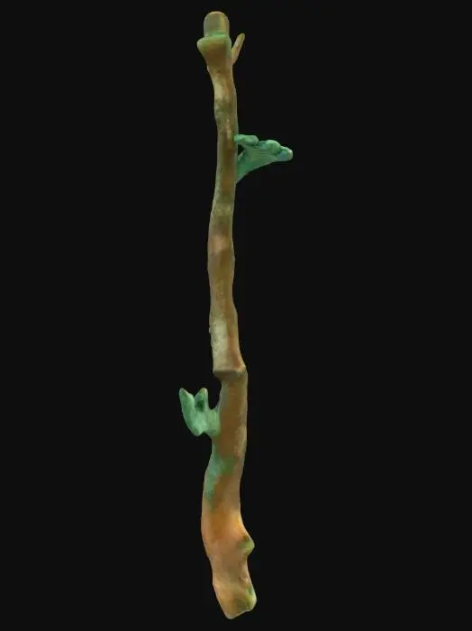 3D model for Bronze Branch Artifact