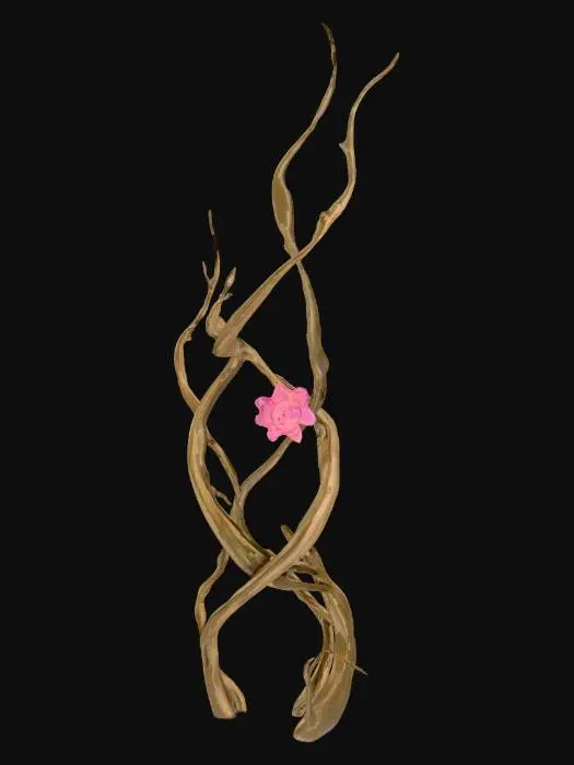 3D model for branch3