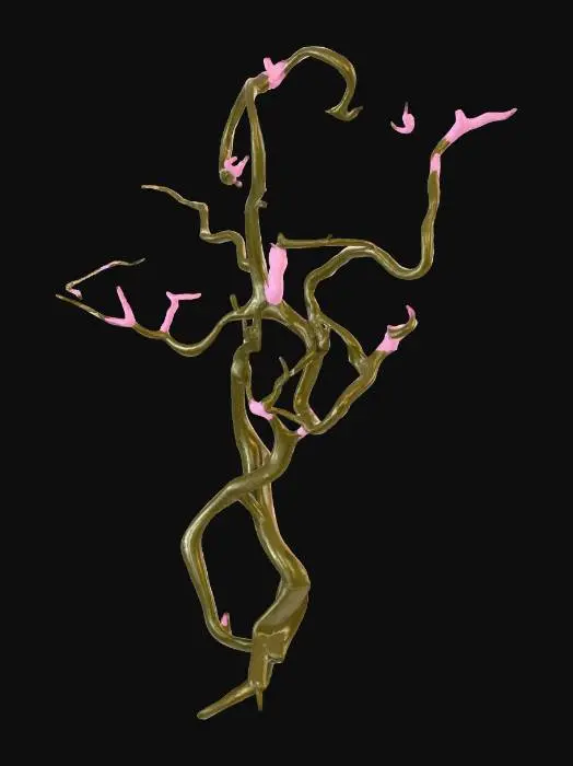 3D model for Enchanted Blossom Vines