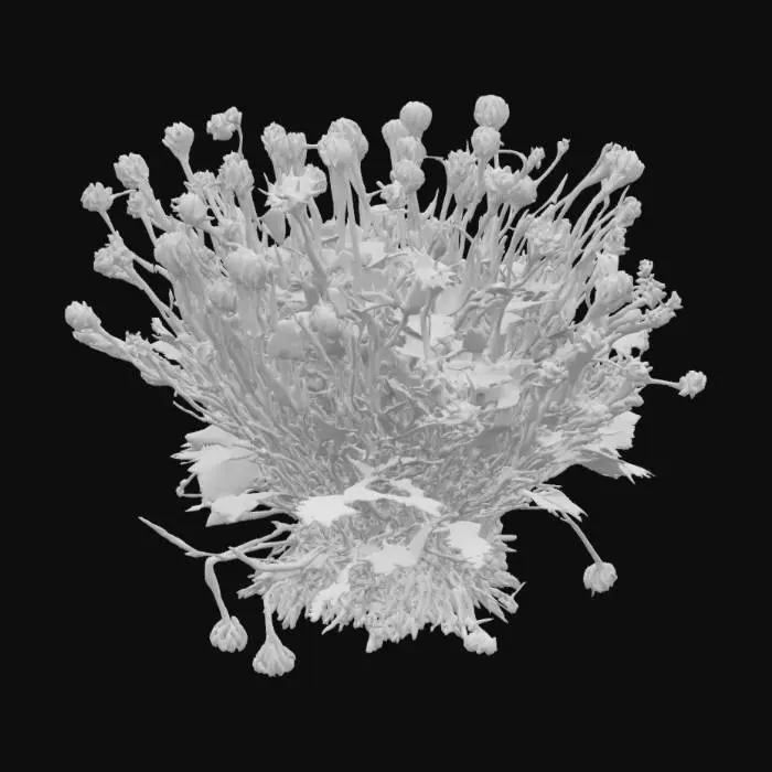 3D model for a small bush of spiky, brown common burdock growing from twigs