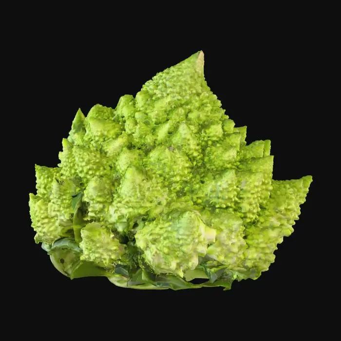3D model for romanesco broccoli