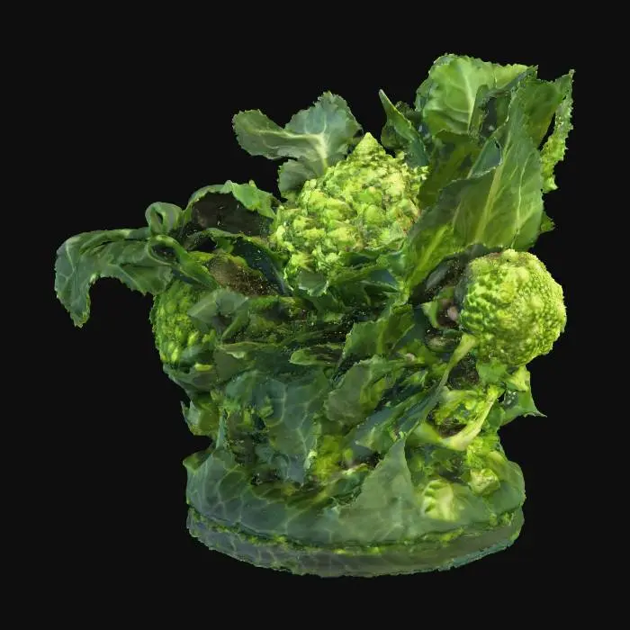 3D model for Romanesco Delight