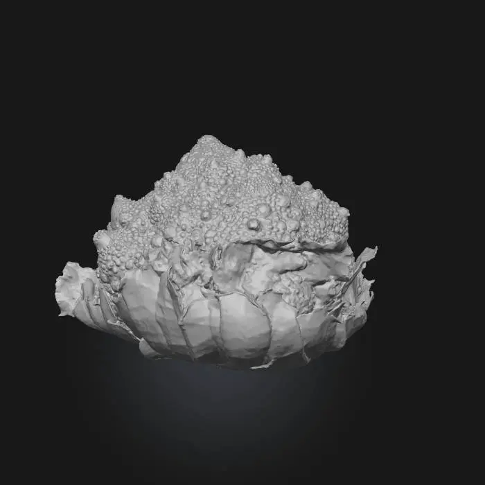 3D model for Romanesco Dreams